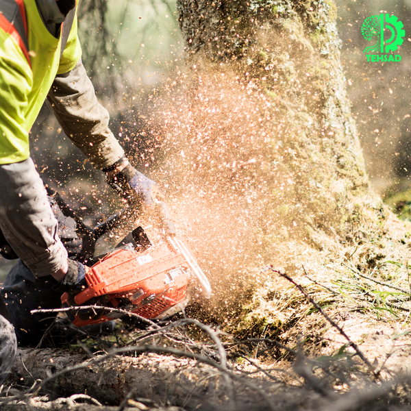 Бензопила Husqvarna 565 9667339-18 фото