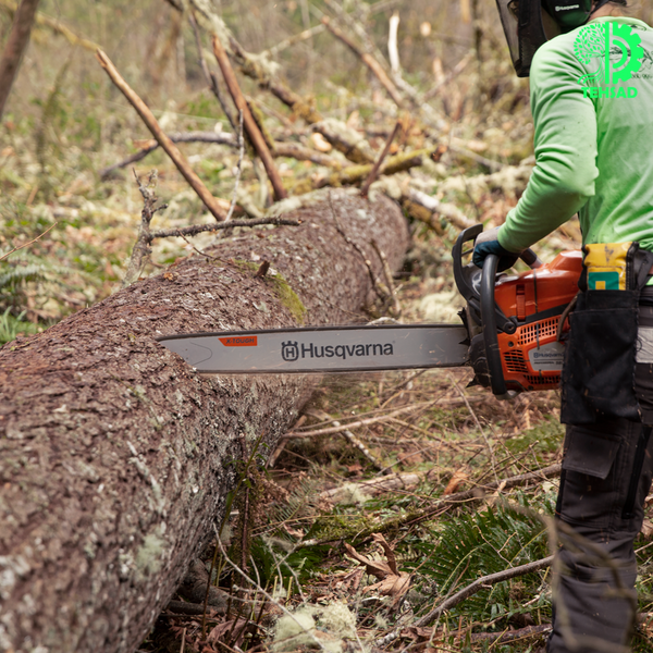 Бензопила Husqvarna 585 9704930-30 фото