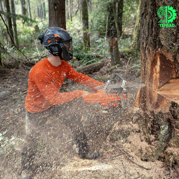 Бензопила Husqvarna 585 9704930-30 фото
