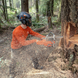 Бензопила Husqvarna 585 9704930-30 фото 2