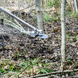 Кущоріз Husqvarna 545Fx 9671765-04 фото 2